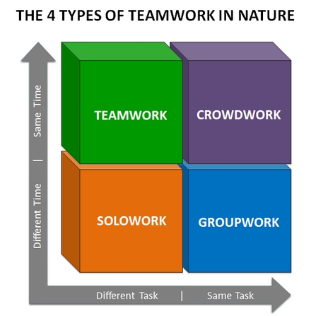 Teamwork4